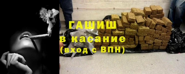 индика Нея