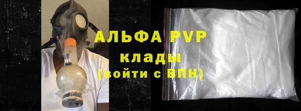 индика Нея