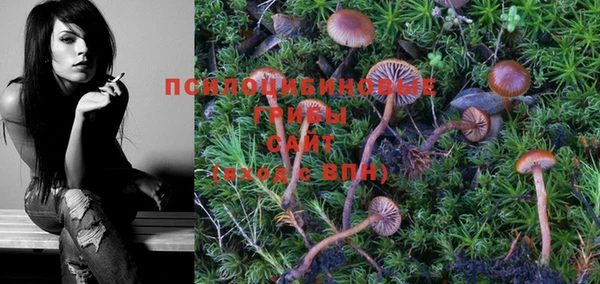 индика Нея