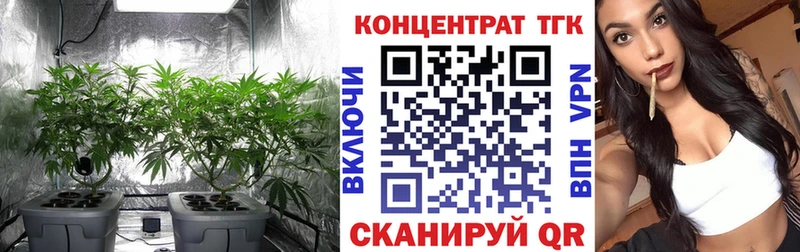 ТГК гашишное масло  где продают наркотики  Пошехонье 