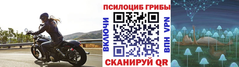 MEGA вход  Пошехонье  Псилоцибиновые грибы мицелий 